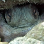 Marmaris Dalyan 2015 Marmaris Dalyan 2015