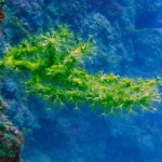 Kömür Limanı 2015 Kömür Limanı 2015