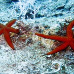 Dalyan 2015 Dalyan 2015