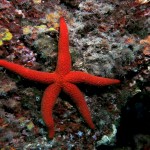 Datça 2012 Datça 2012