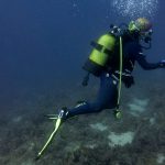 Kömür Limanı 2016