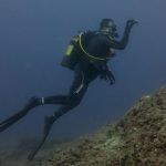 Kömür Limanı 2016